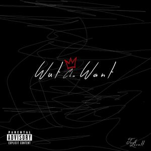 Wut Cha Want (Explicit)