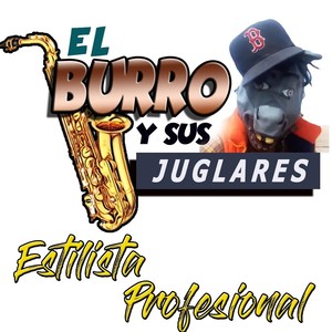 Estilista Profesional