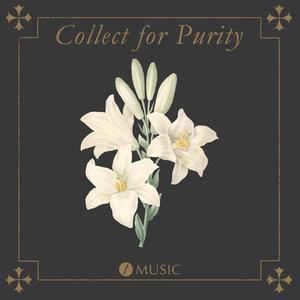 Collect for Purity (feat. Sarah Anders)