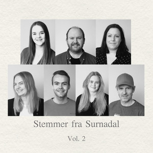 Stemmer fra Surnadal vol. 2