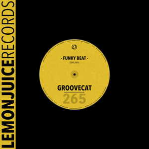 Funky Beat (Original Mix)