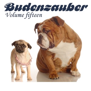 Budenzauber, Vol. 15 - 21 Minimal Techno Tracks