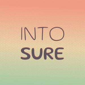 Into Sure