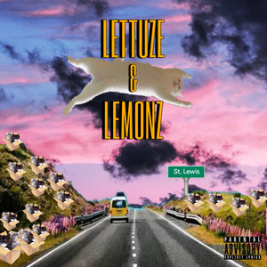 a hundred kittens in a box at st. lewis street (Explicit)