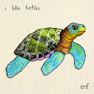 i like turtles