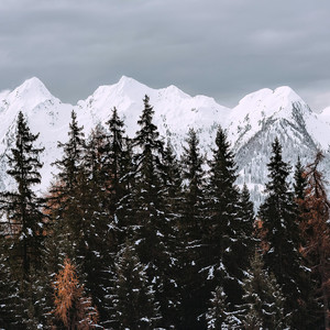 შეხედე რა ლამაზად თოვს
