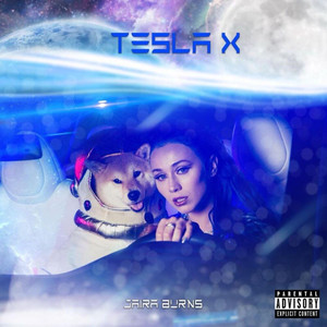 Tesla X (Explicit)