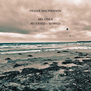 La tartaruga (Slowed + Reverb)