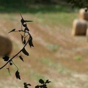 The way you make me feel (feat. Geoffrey Nicholson & Phillip Townend)