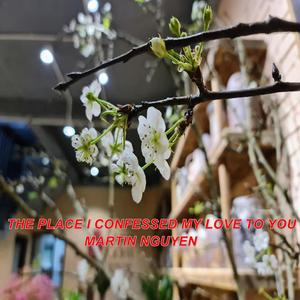 THE PLACE I CONFESSED MY LOVE TO YOU