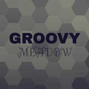 Groovy Meadow