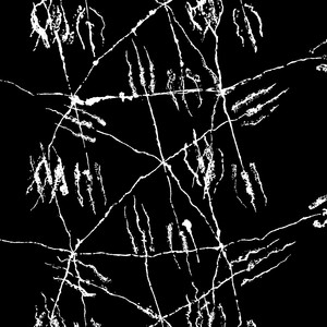 OSMIUM 1
