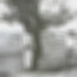 perro malvibroso (Explicit)