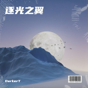逐光之翼