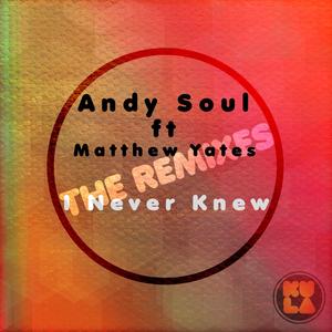 I Never Knew (Umberto Parisi Deep Vision Remix)