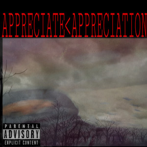 Appreciation (Explicit)