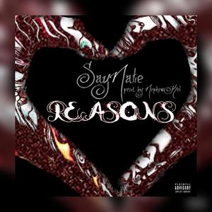 Reasons (Explicit)