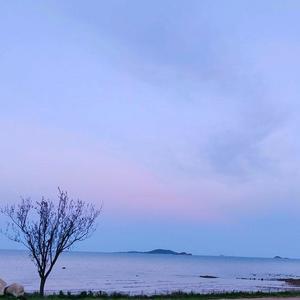 天空 (そら)