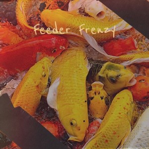 Feeder Frenzy