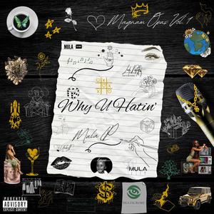 Why U Hatin' (Explicit)