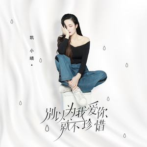 别以为我爱你就不珍惜 (DJ版)封面