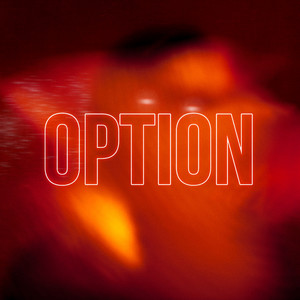 OPTION (Explicit)