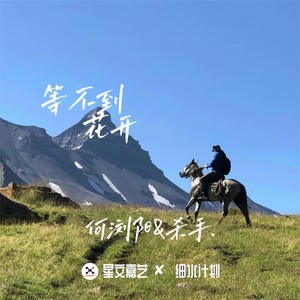 等不到花开 (DJ版)