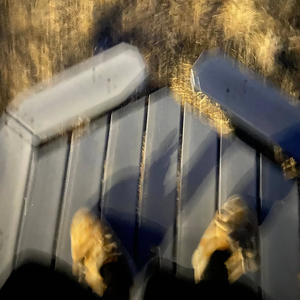 What she do (feat. Rip Skizo) (Explicit)