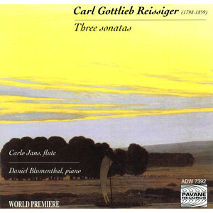 Sonata in B Minor for Violin and Piano, Op. 45 (Transcribed for Flute by Fürstenau) - Sonata in B Minor for Violin and Piano, Op. 45 (Transcribed for Flute by Fürstenau): I. Allegro moderato