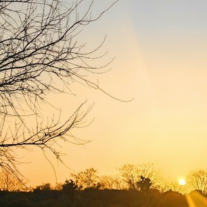 给你的礼物伴奏 (伴奏)