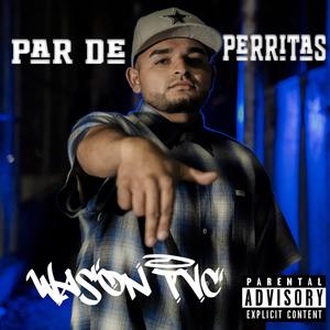 Par de Perritas (feat. Wazon TVC) (Explicit)