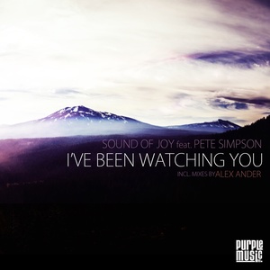 I've Been Watching You (Alex Ander Reprise)