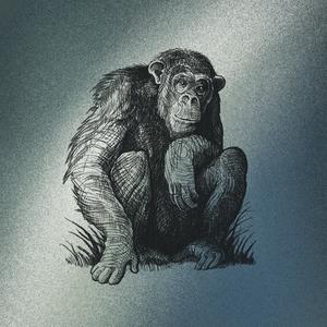 Ape (Original Soundtrack to the Novel “Grixti”)