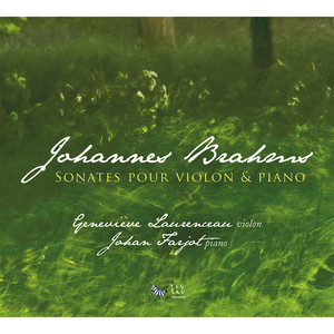 Sonate in D Minor, Op. 108 - Sonate in D Minor, Op. 108: IV. Un poco presto e con sentimento