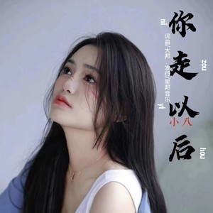 你走以后dj (默涵版)