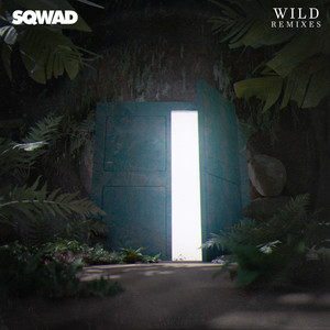 Wild (Badjokes Remix)