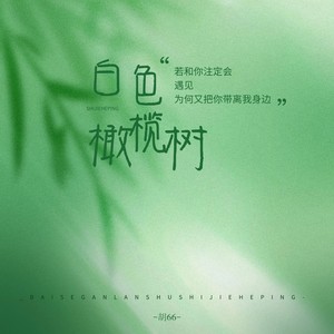 白色橄榄树