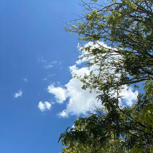 Two Faced Love (Prod. Nathan Horwood) (Explicit)