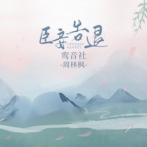 臣妾告退 (DJ武圣雄版)封面