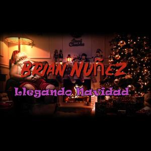 Llegando Navidad - Brian Nuñez