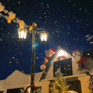 我期待的不是 雪