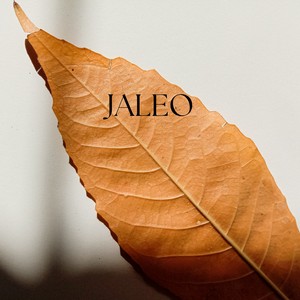 Jaleo