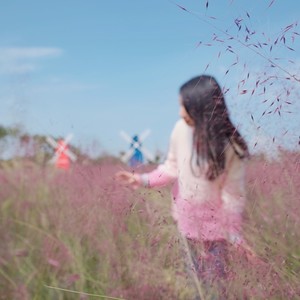 一二田地 两三小事