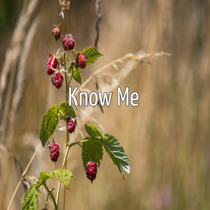 Know Me (Explicit)