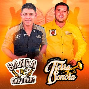 Etandeante la de suplente (feat. Yango y su Agrupación Tierra Sonora)