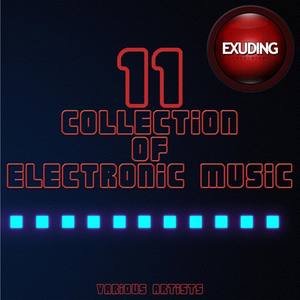 Collection of Electronic Music, Vol. 11