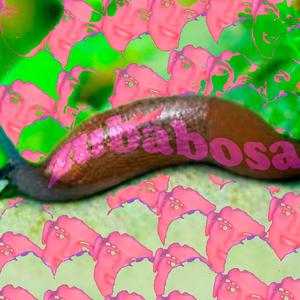 ZUBABOSA