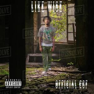 Like Wise (Explicit)