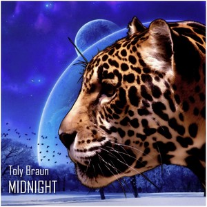 Midnight (Original Mix)