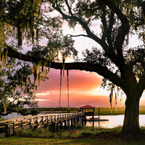 Choose to be Alright